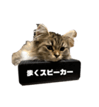 Ncm_om（個別スタンプ：30）