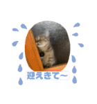 Ncm_om（個別スタンプ：31）