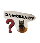 Ncm_om（個別スタンプ：34）