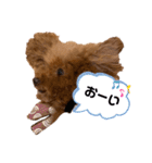 cocoaと仲間達の日常。（個別スタンプ：15）