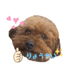 cocoaと仲間達の日常。（個別スタンプ：16）