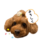 cocoaと仲間達の日常。（個別スタンプ：24）