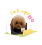 cocoaと仲間達の日常。（個別スタンプ：25）