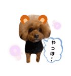 cocoaと仲間達の日常。（個別スタンプ：34）