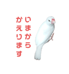 かわいいぶんちゃんのスタンプ（個別スタンプ：11）