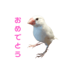 かわいいぶんちゃんのスタンプ（個別スタンプ：14）