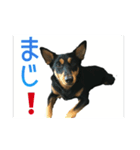 豆のスタンプ1（個別スタンプ：4）