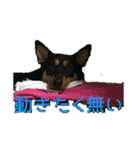豆のスタンプ1（個別スタンプ：10）