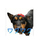 豆のスタンプ1（個別スタンプ：20）