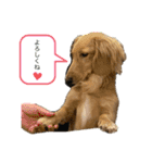 ⭐︎leocie⭐︎（個別スタンプ：3）