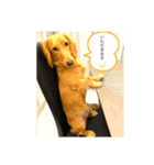 ⭐︎leocie⭐︎（個別スタンプ：4）