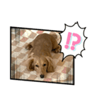 ⭐︎leocie⭐︎（個別スタンプ：6）