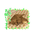 ⭐︎leocie⭐︎（個別スタンプ：8）