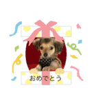 ⭐︎leocie⭐︎（個別スタンプ：11）