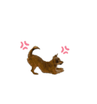 ⭐︎leocie⭐︎（個別スタンプ：14）