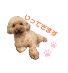 ワッフルちゃんスタンプ2（個別スタンプ：3）