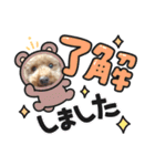 ワッフルちゃんスタンプ2（個別スタンプ：12）