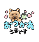 ワッフルちゃんスタンプ2（個別スタンプ：15）