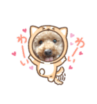 ワッフルちゃんスタンプ2（個別スタンプ：17）
