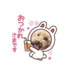 ワッフルちゃんスタンプ2（個別スタンプ：18）