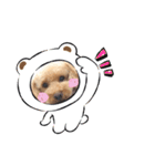 ワッフルちゃんスタンプ2（個別スタンプ：19）