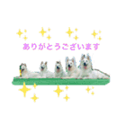 ホワイトシェパードの日常用語（個別スタンプ：3）
