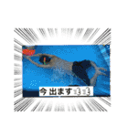 ホワイトシェパードの日常用語（個別スタンプ：29）