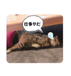 可愛いむぎたんのスタンプ（個別スタンプ：9）