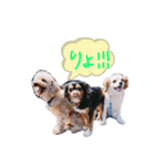 R.C.A（個別スタンプ：1）