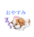 R.C.A（個別スタンプ：2）
