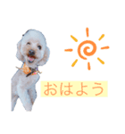 R.C.A（個別スタンプ：3）
