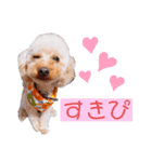 R.C.A（個別スタンプ：6）