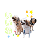 R.C.A（個別スタンプ：8）