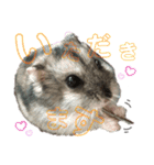ぼく、めんぼうくんだよぉ。 Mn.1（個別スタンプ：1）