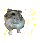 ぼく、めんぼうくんだよぉ。 Mn.1（個別スタンプ：11）