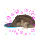 ぼく、めんぼうくんだよぉ。 Mn.1（個別スタンプ：13）