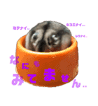 ぼく、めんぼうくんだよぉ。 Mn.1（個別スタンプ：15）