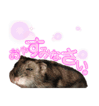 ぼく、めんぼうくんだよぉ。 Mn.1（個別スタンプ：16）