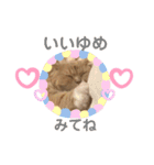猫好きな我、大勝利なスタンプ（個別スタンプ：2）