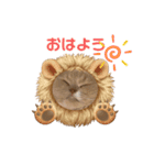 猫好きな我、大勝利なスタンプ（個別スタンプ：9）
