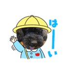ビーグル犬とトイプードルのスタンプ（個別スタンプ：6）