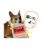 コーギーのみづきちゃん（個別スタンプ：11）