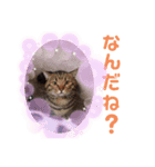 E3とぴの②（個別スタンプ：2）