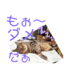 E3とぴの②（個別スタンプ：4）