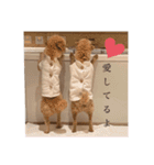 のありおの生活（個別スタンプ：9）