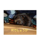 ベリ男のスタンプ2,1（個別スタンプ：6）