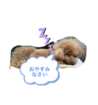 さぶやんが飼ってるLuke（個別スタンプ：2）