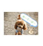 さぶやんが飼ってるLuke（個別スタンプ：3）