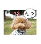 さぶやんが飼ってるLuke（個別スタンプ：5）