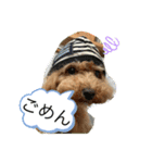 さぶやんが飼ってるLuke（個別スタンプ：7）